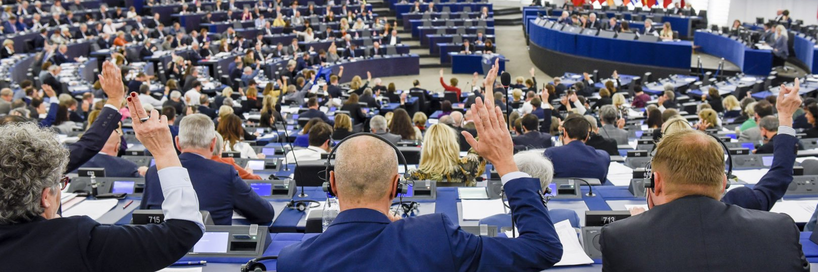European parliament voting