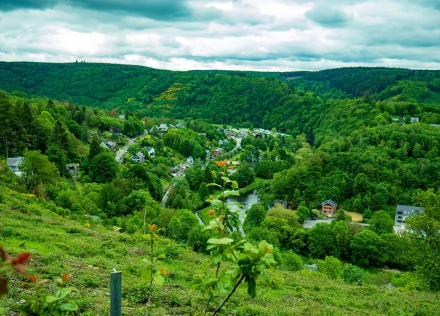 Green landscape photo