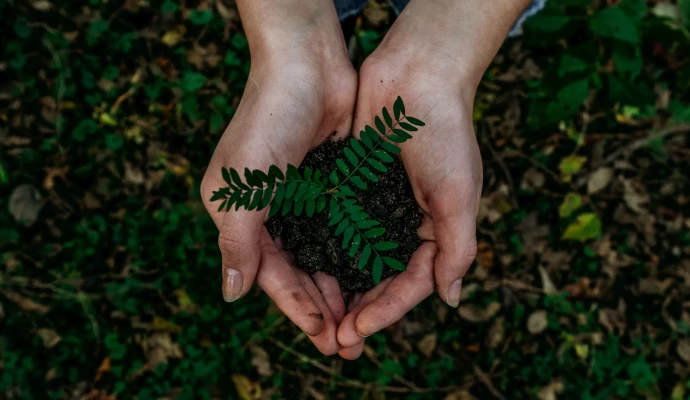 Hands carrying earth in nature
