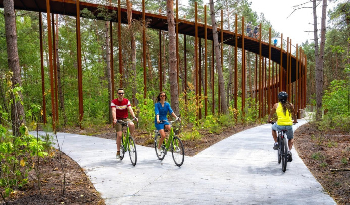 Limburg - fietsen door de bomen